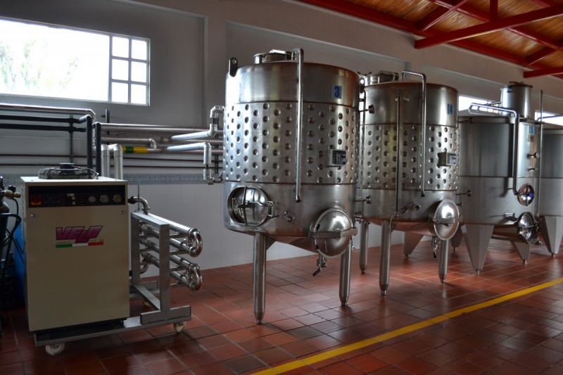 cave-AUVARE-min_wine_production_cantine_winery_drink_alcohol_vine_beverage-902036